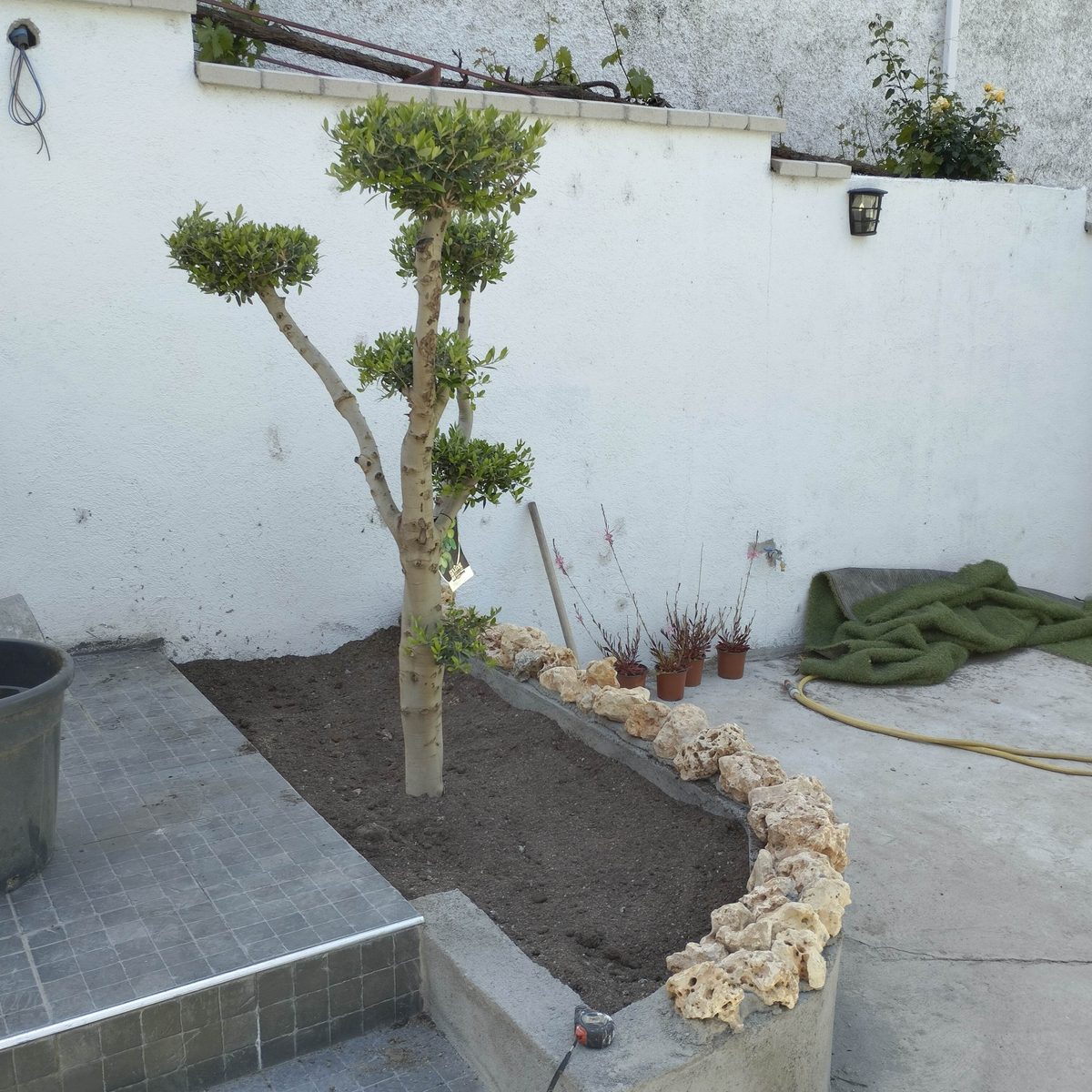 Reforma exterior terminada en Manzanares el Real — jardinera con piedra natural y árbol ornamental